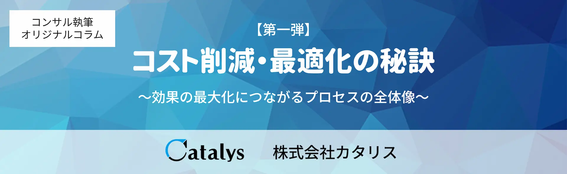 コスト削減・最適化の秘訣 ～①効果の最大化につながるプロセス