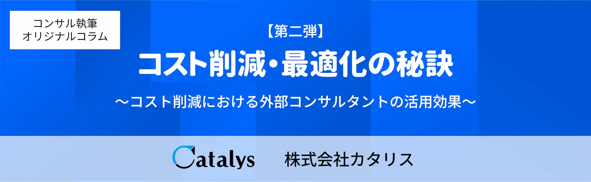 コスト削減・最適化の秘訣 ～②コスト削減における外部コンサルタントの活用効果～｜PROFFIT